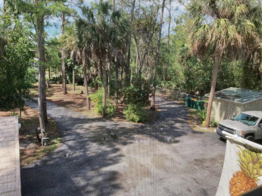 "Mia'S Place" Beautiful Private Apartment Surrounded By Nature North North Naples 외부 사진